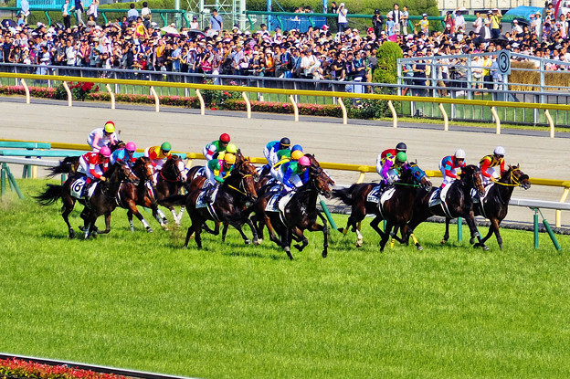 ゆたぽんの競馬予想ブログ