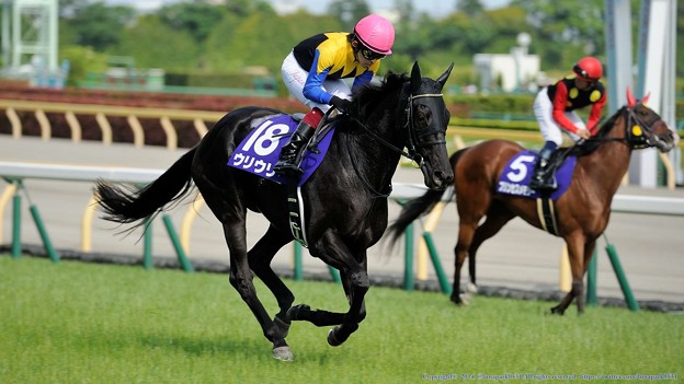 京都牝馬ステークス 2015の出走予定馬ウリウリら分析です