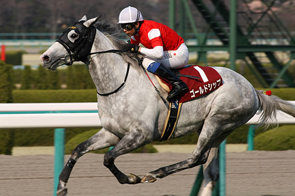 阪神大賞典 2015の予想 ゴールドシップは巻き返せるのか