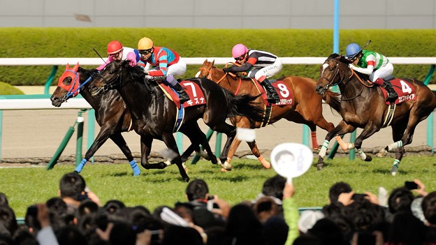 産経大阪杯 2015の出走予定馬キズナvsスピルバーグ