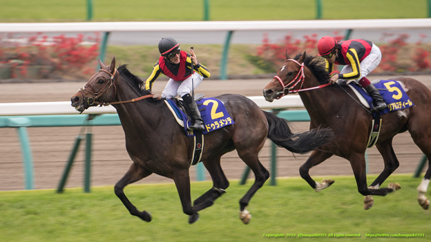 日本ダービー 2015の出走予定馬ドゥラメンテの２冠は濃厚なのか