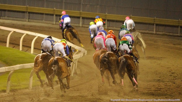 【スパーキングレディーカップ2015】予想（川崎）です