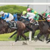 【室町ステークス2015予想】京都ダート1200mのオープン特別