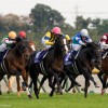 【マイルチャンピオンシップ2015予想考察】イスラボニータについて