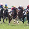 【阪神ジュベナイルフィリーズ2015】出走予定馬分析と１週前展望
