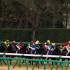 【有馬記念2015予想参考】キーワードは加速力!?