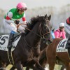【朝日杯フューチュリティステークス2015予想参考】リオンディーズの取捨