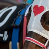 【フェアリーステークス2021予想】テンハッピーローズの順当勝ち