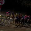【金盃2016予想】大井ダート2600mのSII戦