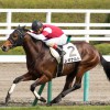 【アーリントンカップ2016予想】ヒルノマゼランが一枚上か