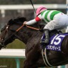 【弥生賞2016予想参考】リオンディーズやマカヒキらが出走予定