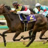 【中山記念2016予想参考】ドゥラメンテらが出走予定