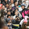 【フィリーズレビュー2016予想参考】ペプチドサプルらが出走予定