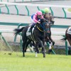 【中日新聞杯2016予想】ヤマニンボワラクテの重賞初制覇に期待！