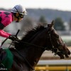 【毎日杯2016予想考察】スマートオーディンらが出走予定