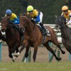 【弥生賞2016予想】イマジンザットに３強の一角崩しを期待！