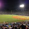 【セリーグ順位予想2016】を競馬風にしてみました