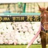 【桜花賞2016予想】ラベンダーヴァレイの一角崩しに期待！