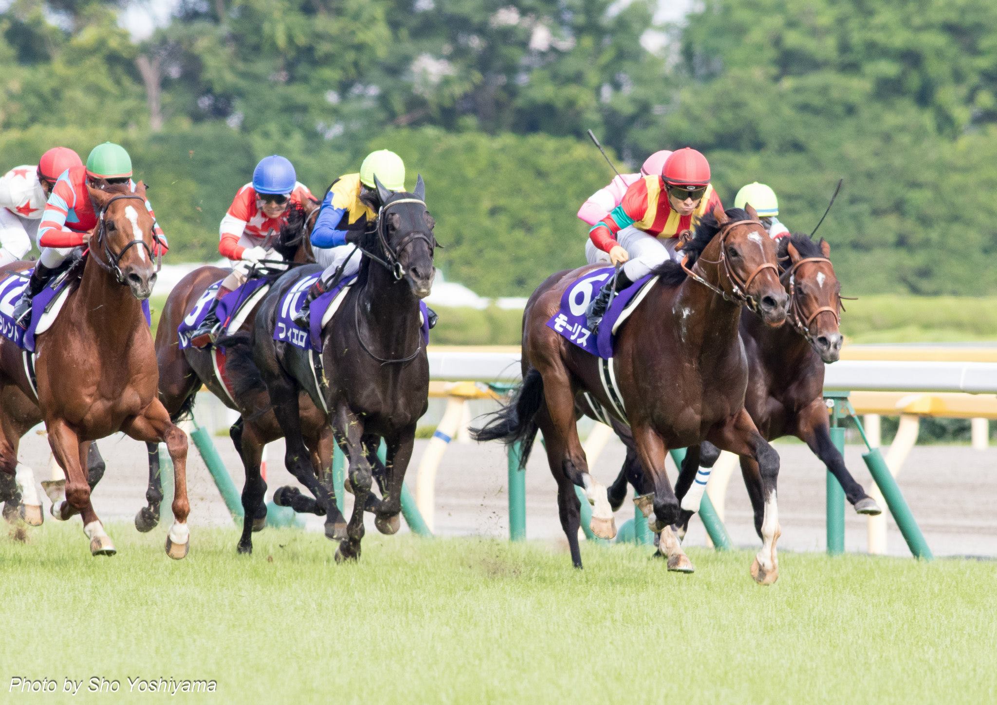 安田記念16予想考察 モーリスらが出走予定