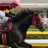【エプソムカップ2016予想考察】ルージュバックらが出走予定
