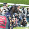 【宝塚記念2016予想】ドゥラメンテからヒモ荒れに期待！