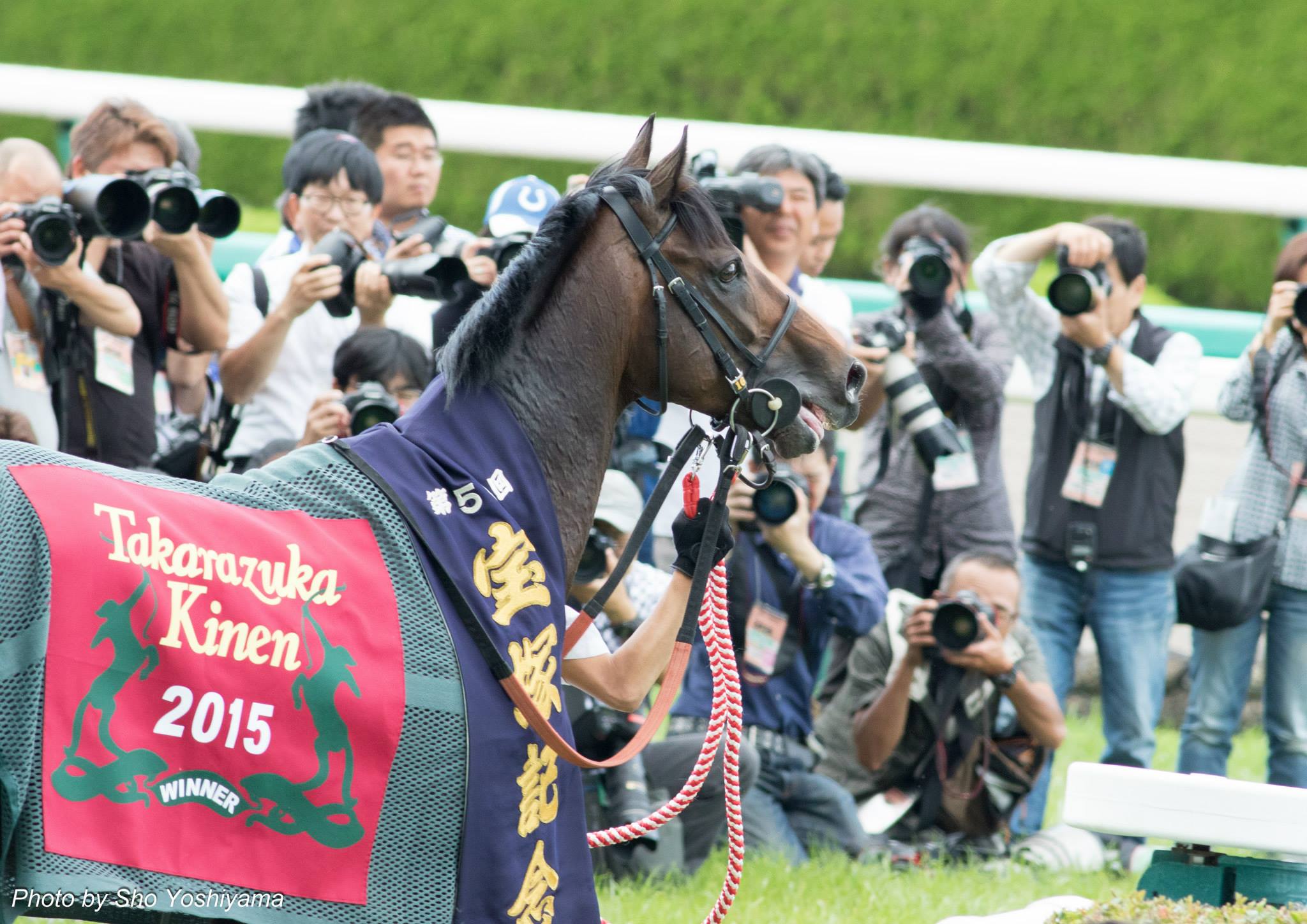 宝塚記念2016予想 ドゥラメンテからヒモ荒れに期待