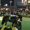 【ジャパンダートダービー2016予想（大井）】３歳ダートナンバー１は！？