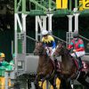 【京都大賞典2016予想】充実期に入ったキタサンブラック