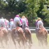 【金鯱賞2016予想考察】サトノノブレスらが出走予定