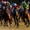 有馬記念2016はサトノダイヤモンド＆ルメール騎手の執念の勝利！