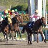 【フェブラリーステークス2017予想考察】モーニンら出走予定