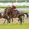【中山記念2017予想】リアルスティールがドバイに弾み