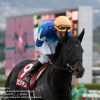 【中山記念2017予想考察】アンビシャスら出走予定