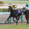 【チューリップ賞2017予想考察】ソウルスターリングら出走予定