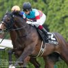 【日経賞2017予想】ジュンヴァルカンからヒモ荒れに期待
