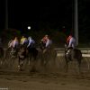【東京プリンセス賞2017予想】大井1800mのSI戦です