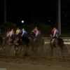 【帝王賞2017的中報告】勝負度Ｂで◎ケイティブレイブが優勝！