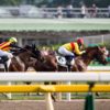 【ユニコーンステークス2017予想】まだ上積みありそうなアンティノウス