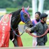 【東京ジャンプステークス2017予想】障害で素質開花のハギノパトリオット