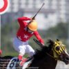 【京成盃グランドマイラーズ2017予想】船橋1600mのSIII戦です