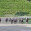 【マーキュリーカップ2017予想】盛岡2000mのJpnIII戦です