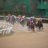 【サマーチャンピオン2017予想】佐賀1400mのJpnIII戦です