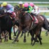 【神戸新聞杯2017予想考察】レイデオロら出走予定