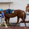 【兵庫ジュニアグランプリ2017予想】園田1400mのJpnII戦です