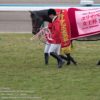 【エリザベス女王杯2017予想考察】ヴィブロスら出走予定