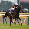 【ジャパンカップ2017予想】鞍上と枠が魅力のシュヴァルグラン