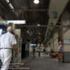 【兵庫ゴールドトロフィー2021予想】園田1400mのJpnIII戦です