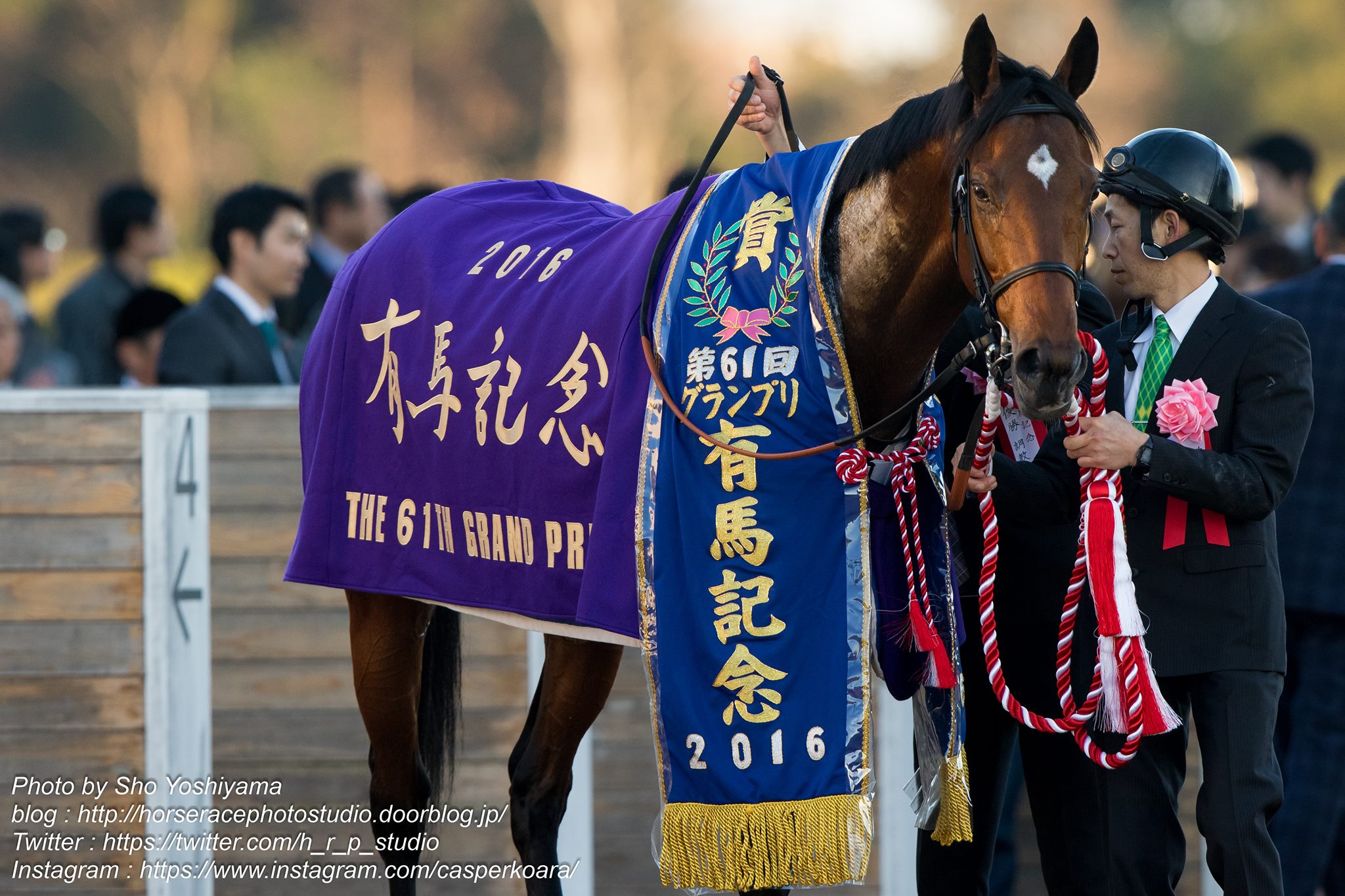 タイムセール！】 キタサンブラック 有馬記念 中山競馬場 非売品