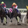 【東京大賞典2017予想】大井2000mのＧＩ戦です