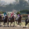 【根岸ステークス2018予想】ノボバカラの逃げ切りに期待